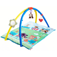 Nuby Play Gym